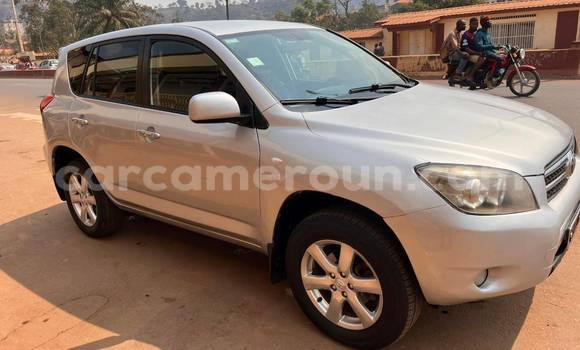 Buy Used Toyota RAV4 Other Car in Yaounde in Central Cameroon Buy Used Toyota RAV4 Other Car in Yaounde in Central Cameroon