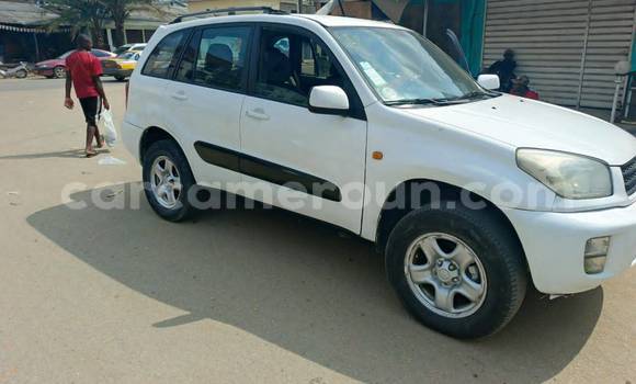 Acheter Occasion Voiture Toyota RAV4 Blanc à Yaoundé, Central Cameroon Acheter Occasion Voiture Toyota RAV4 Blanc à Yaoundé, Central Cameroon