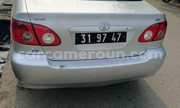 Acheter Occasion Voiture Toyota Corolla Autre à Yaoundé, Central Cameroon Acheter Occasion Voiture Toyota Corolla Autre à Yaoundé, Central Cameroon
