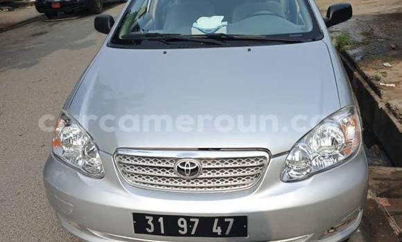 Acheter Occasion Voiture Toyota Corolla Autre à Yaoundé, Central Cameroon Acheter Occasion Voiture Toyota Corolla Autre à Yaoundé, Central Cameroon