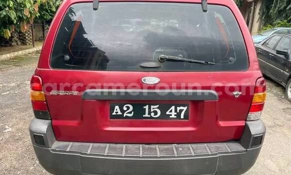 Acheter Occasion Voiture Ford Escape Rouge à Yaoundé, Central Cameroon Acheter Occasion Voiture Ford Escape Rouge à Yaoundé, Central Cameroon