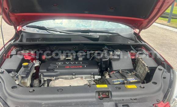 Buy Used Toyota RAV4 Red Car in Yaounde in Central Cameroon Buy Used Toyota RAV4 Red Car in Yaounde in Central Cameroon