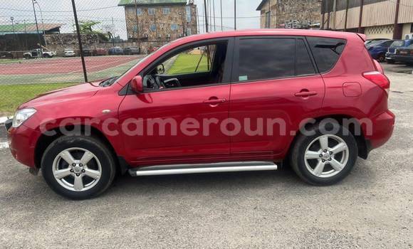 Buy Used Toyota RAV4 Red Car in Yaounde in Central Cameroon Buy Used Toyota RAV4 Red Car in Yaounde in Central Cameroon