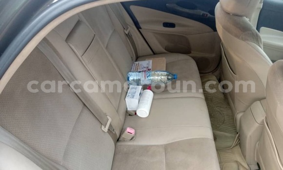 Buy Used Toyota Blade Brown Car in Douala in Littoral Cameroon Buy Used Toyota Blade Brown Car in Douala in Littoral Cameroon