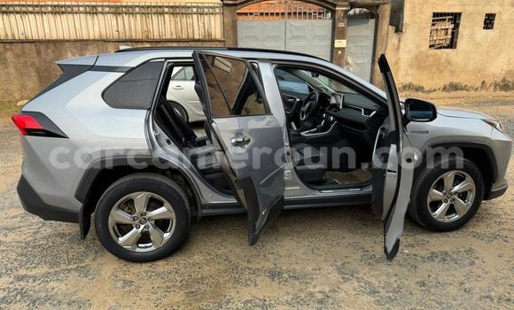 Sayi Na hannu Toyota RAV4 Sauran Mota in Douala a Ƙasar Kamaru
