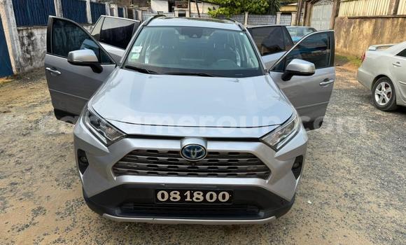 Sayi Na hannu Toyota RAV4 Sauran Mota in Douala a Ƙasar Kamaru Sayi Na hannu Toyota RAV4 Sauran Mota in Douala a Ƙasar Kamaru