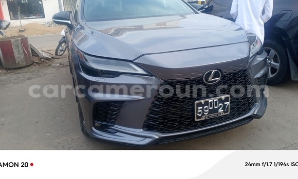 Acheter Import Voiture Lexus RX 350 Gris à Douala, Littoral Cameroon