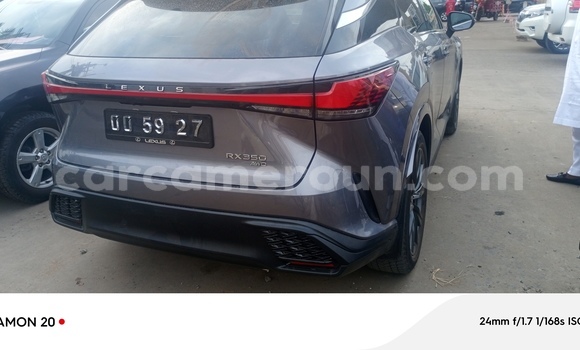 Sayi Imported Lexus RX 350 Azurfa Mota in Douala a Ƙasar Kamaru Sayi Imported Lexus RX 350 Azurfa Mota in Douala a Ƙasar Kamaru