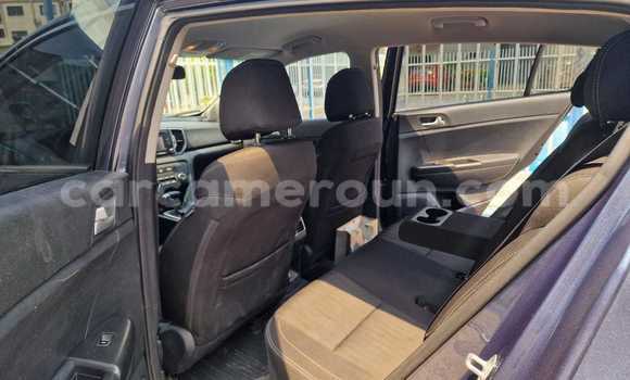 Acheter Occasion Voiture Kia Sportage Gris à Douala, Littoral Cameroon Acheter Occasion Voiture Kia Sportage Gris à Douala, Littoral Cameroon