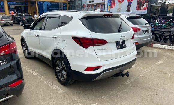 Acheter Import Voiture Hyundai Santa Fe Blanc à Douala, Littoral Cameroon Acheter Import Voiture Hyundai Santa Fe Blanc à Douala, Littoral Cameroon