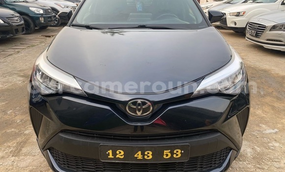 Buy Import Toyota C-HR Blue Car in Douala in Littoral Cameroon Buy Import Toyota C-HR Blue Car in Douala in Littoral Cameroon