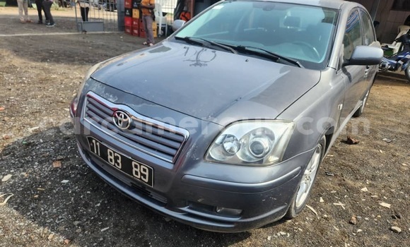 Buy Import Toyota Avensis Blue Car in Douala in Littoral Cameroon