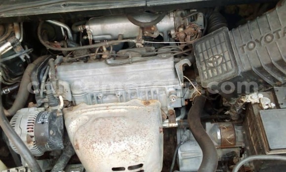 Acheter Neuf Voiture Toyota Picnic Autre à Douala, Littoral Cameroon Acheter Neuf Voiture Toyota Picnic Autre à Douala, Littoral Cameroon