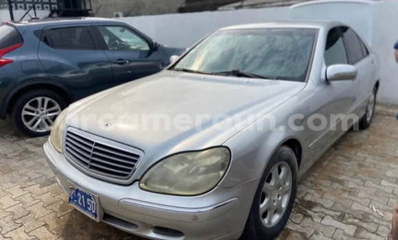 Sayi Imported Mercedes‒Benz S–Class Azurfa Mota in Douala a Ƙasar Kamaru