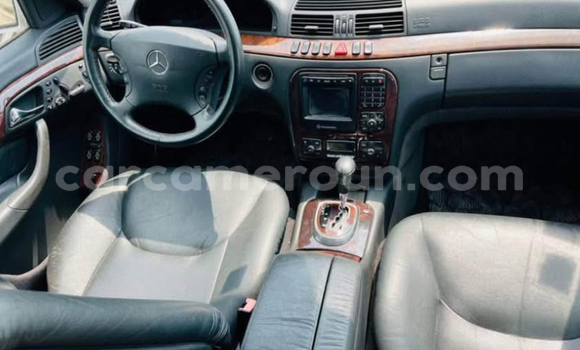 Buy Import Mercedes‒Benz S–Class Silver Car in Douala in Littoral Cameroon Buy Import Mercedes‒Benz S–Class Silver Car in Douala in Littoral Cameroon