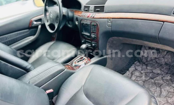 Buy Import Mercedes‒Benz S–Class Silver Car in Douala in Littoral Cameroon Buy Import Mercedes‒Benz S–Class Silver Car in Douala in Littoral Cameroon