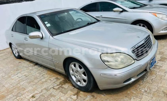 Buy Import Mercedes‒Benz S–Class Silver Car in Douala in Littoral Cameroon Buy Import Mercedes‒Benz S–Class Silver Car in Douala in Littoral Cameroon