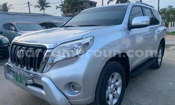 Sayi Imported Toyota Land Cruiser Prado Azurfa Mota in Douala a Ƙasar Kamaru