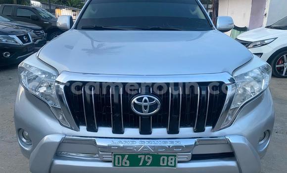 Buy Import Toyota Land Cruiser Prado Silver Car in Douala in Littoral Cameroon Buy Import Toyota Land Cruiser Prado Silver Car in Douala in Littoral Cameroon