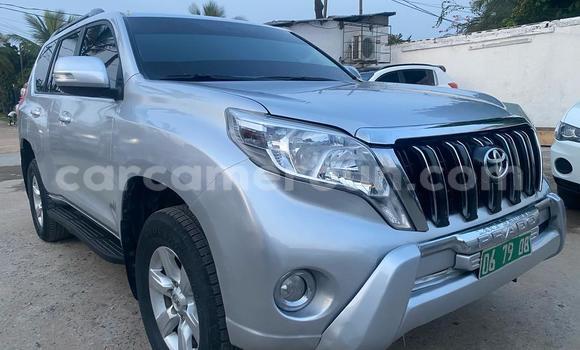Buy Import Toyota Land Cruiser Prado Silver Car in Douala in Littoral Cameroon Buy Import Toyota Land Cruiser Prado Silver Car in Douala in Littoral Cameroon