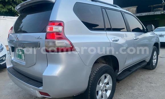 Buy Import Toyota Land Cruiser Prado Silver Car in Douala in Littoral Cameroon Buy Import Toyota Land Cruiser Prado Silver Car in Douala in Littoral Cameroon