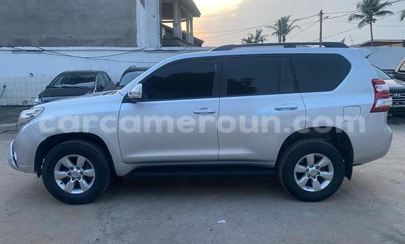 Buy Import Toyota Land Cruiser Prado Silver Car in Douala in Littoral Cameroon Buy Import Toyota Land Cruiser Prado Silver Car in Douala in Littoral Cameroon