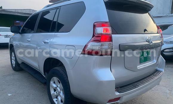 Buy Import Toyota Land Cruiser Prado Silver Car in Douala in Littoral Cameroon Buy Import Toyota Land Cruiser Prado Silver Car in Douala in Littoral Cameroon