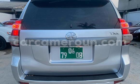 Buy Import Toyota Land Cruiser Prado Silver Car in Douala in Littoral Cameroon Buy Import Toyota Land Cruiser Prado Silver Car in Douala in Littoral Cameroon