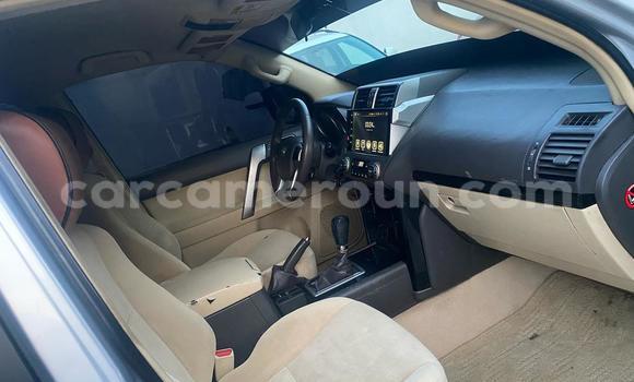Buy Import Toyota Land Cruiser Prado Silver Car in Douala in Littoral Cameroon Buy Import Toyota Land Cruiser Prado Silver Car in Douala in Littoral Cameroon