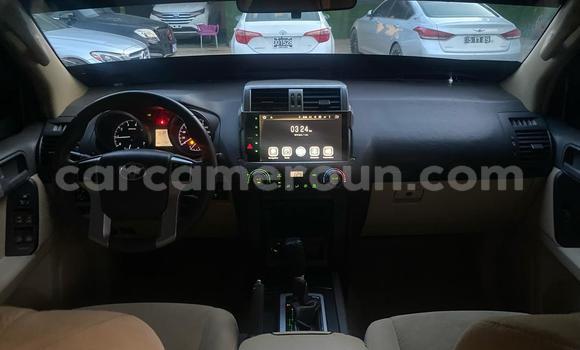 Buy Import Toyota Land Cruiser Prado Silver Car in Douala in Littoral Cameroon Buy Import Toyota Land Cruiser Prado Silver Car in Douala in Littoral Cameroon