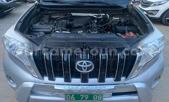 Buy Import Toyota Land Cruiser Prado Silver Car in Douala in Littoral Cameroon Buy Import Toyota Land Cruiser Prado Silver Car in Douala in Littoral Cameroon
