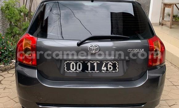 Sayi Na hannu Toyota Corolla Azurfa Mota in Douala a Ƙasar Kamaru Sayi Na hannu Toyota Corolla Azurfa Mota in Douala a Ƙasar Kamaru