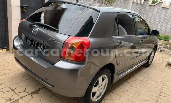 Sayi Na hannu Toyota Corolla Azurfa Mota in Douala a Ƙasar Kamaru Sayi Na hannu Toyota Corolla Azurfa Mota in Douala a Ƙasar Kamaru