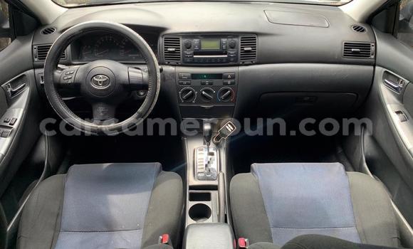 Sayi Na hannu Toyota Corolla Azurfa Mota in Douala a Ƙasar Kamaru Sayi Na hannu Toyota Corolla Azurfa Mota in Douala a Ƙasar Kamaru