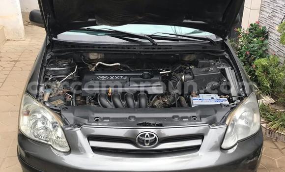 Sayi Na hannu Toyota Corolla Azurfa Mota in Douala a Ƙasar Kamaru Sayi Na hannu Toyota Corolla Azurfa Mota in Douala a Ƙasar Kamaru