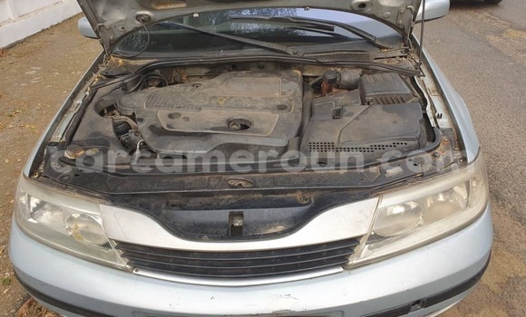 Acheter Occasion Voiture Renault Laguna Gris à Douala, Littoral Cameroon Acheter Occasion Voiture Renault Laguna Gris à Douala, Littoral Cameroon