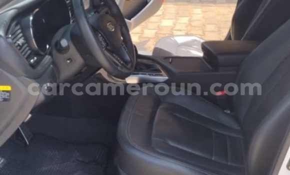 Sayi Sabo Kia K5 White Mota in Douala a Ƙasar Kamaru Sayi Sabo Kia K5 White Mota in Douala a Ƙasar Kamaru