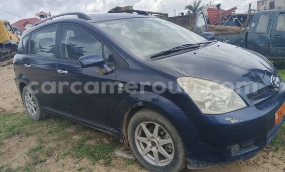Acheter Occasion Voiture Toyota Corolla Bleu à Douala, Littoral Cameroon