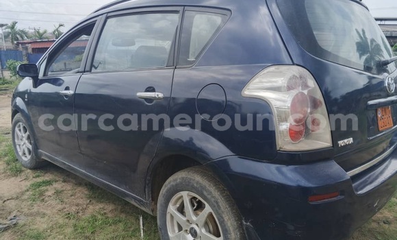 Acheter Occasion Voiture Toyota Corolla Bleu à Douala, Littoral Cameroon Acheter Occasion Voiture Toyota Corolla Bleu à Douala, Littoral Cameroon