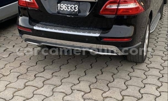 Buy Import Mercedes‒Benz ML–Class Black Car in Douala in Littoral Cameroon Buy Import Mercedes‒Benz ML–Class Black Car in Douala in Littoral Cameroon