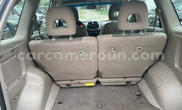 Buy Import Toyota RAV4 Silver Car in Douala in Littoral Cameroon Buy Import Toyota RAV4 Silver Car in Douala in Littoral Cameroon