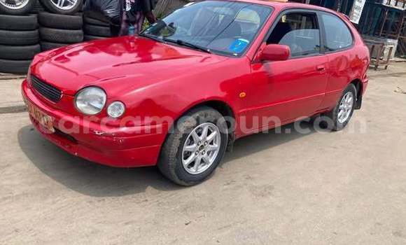 Sayi Na hannu Toyota Corolla Red Mota in Douala a Ƙasar Kamaru