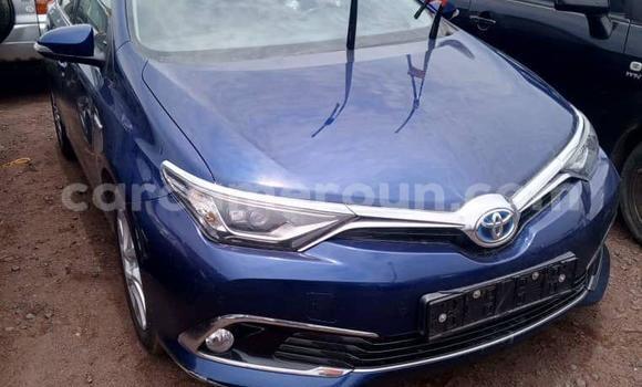 Sayi Imported Toyota Auris Blue Mota in Douala a Ƙasar Kamaru