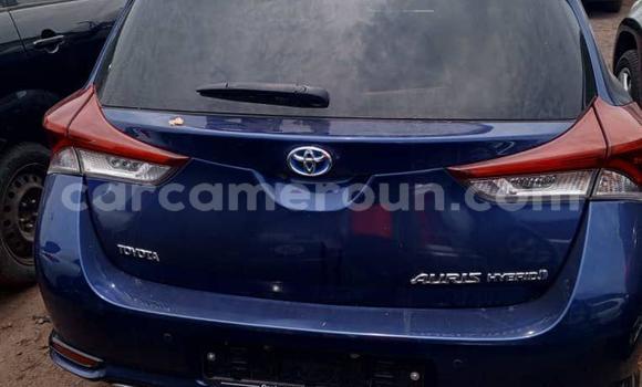Buy Import Toyota Auris Blue Car in Douala in Littoral Cameroon Buy Import Toyota Auris Blue Car in Douala in Littoral Cameroon