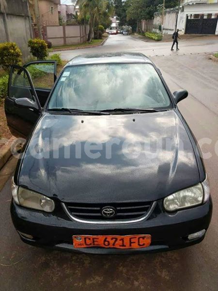 Big with watermark 42393307 881460898910097 4401121866601725952 n