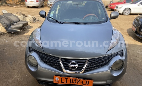 Acheter Occasion Voiture Nissan Juke Gris à Douala, Littoral Cameroon