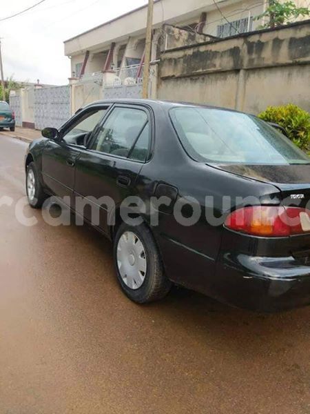 Big with watermark 43880256 157845481824638 895143421541351424 o