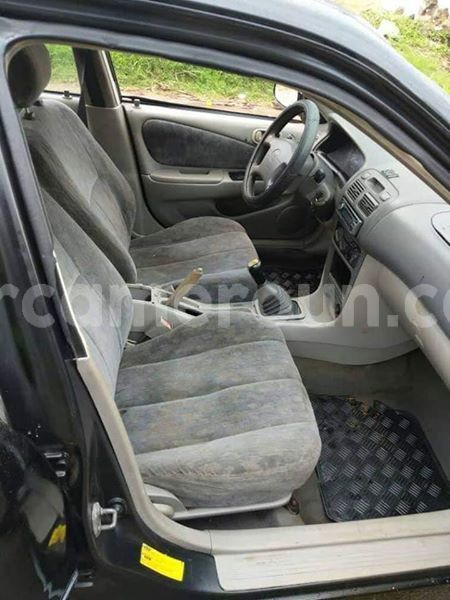 Big with watermark 43952242 157845575157962 4335428086951575552 o