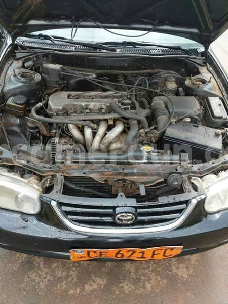 Big with watermark 44037248 718726691823714 1154447351868293120 n