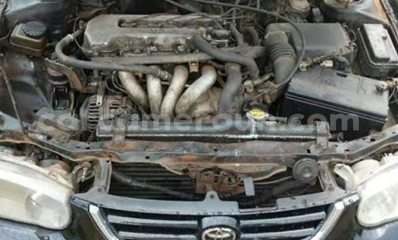 Acheter Occasion Voiture Toyota Corolla Noir à Yaoundé, Central Cameroon Acheter Occasion Voiture Toyota Corolla Noir à Yaoundé, Central Cameroon